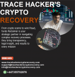 New Banner 77.png New Banner 77.png